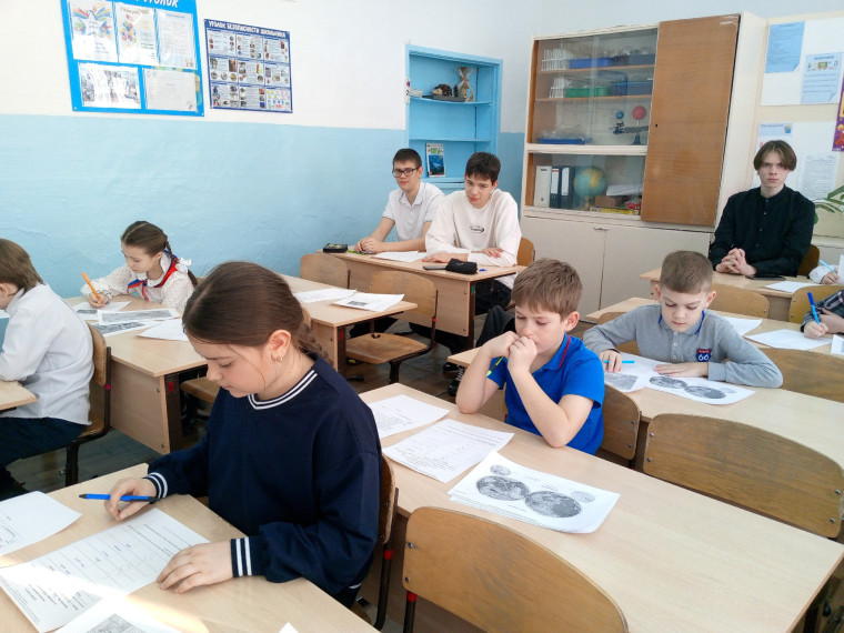 Школьные навыки.